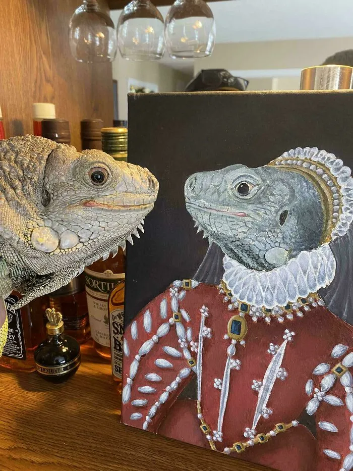 Creo que le gusta