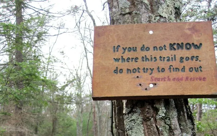 On A Trail In Bald Eagle State Forest, Pa