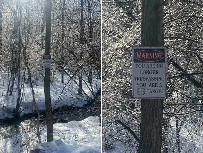 Random Sign In The Woods