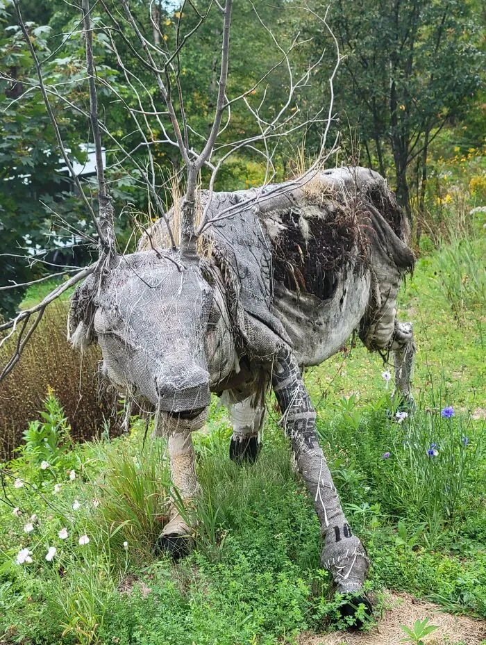 Found In The Woods Near Grand Maria's, Mn
