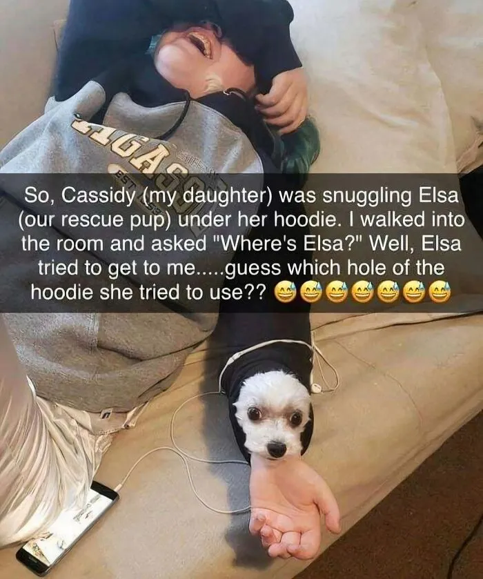 Feeling Low? These 50 Emotional Support Dog Memes Got You