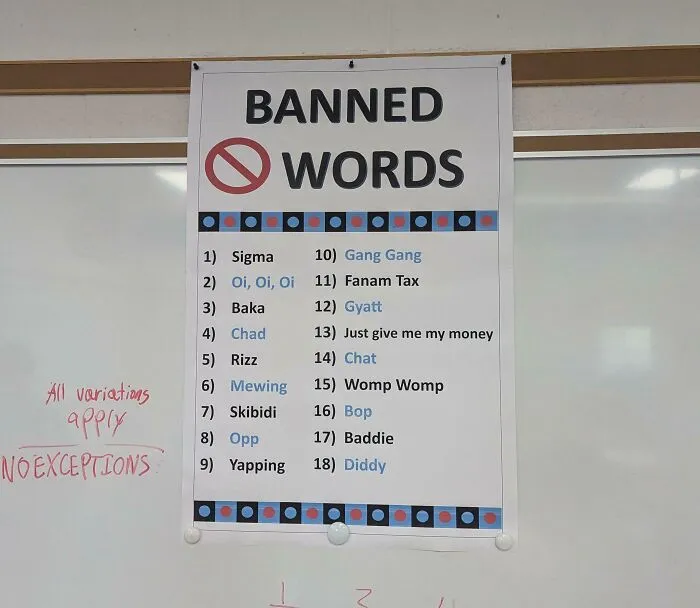 Poster in a school listing banned words like Sigma and Chat, highlighting how not all schools are equal or great.