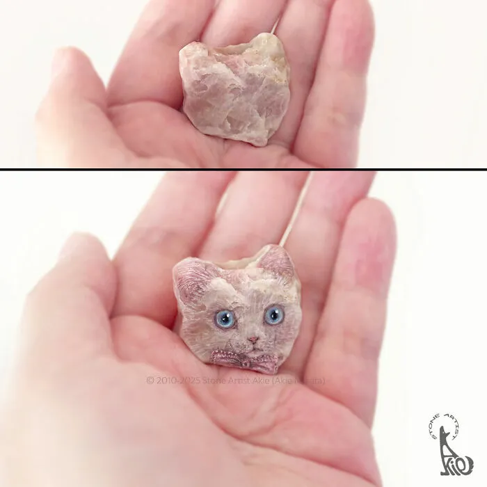 Japanese Artist Brings Stones To Life By Painting Animals On Them (64 New Pics)