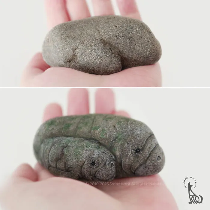 Japanese Artist Brings Stones To Life By Painting Animals On Them (64 New Pics)