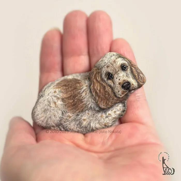 Japanese Artist Brings Stones To Life By Painting Animals On Them (64 New Pics)