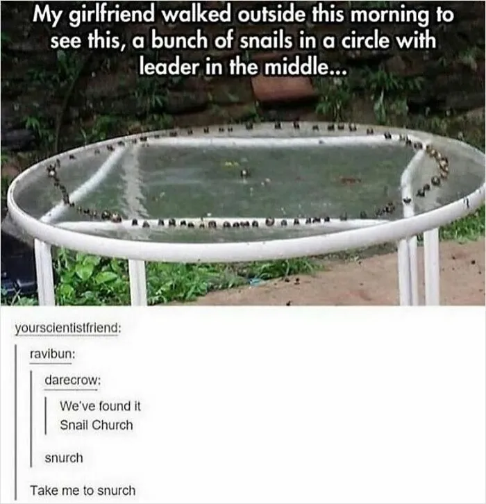 50 Memes That Are So Unhinged And Weird It's Funny