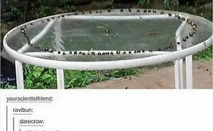 50 Memes That Are So Unhinged And Weird It's Funny