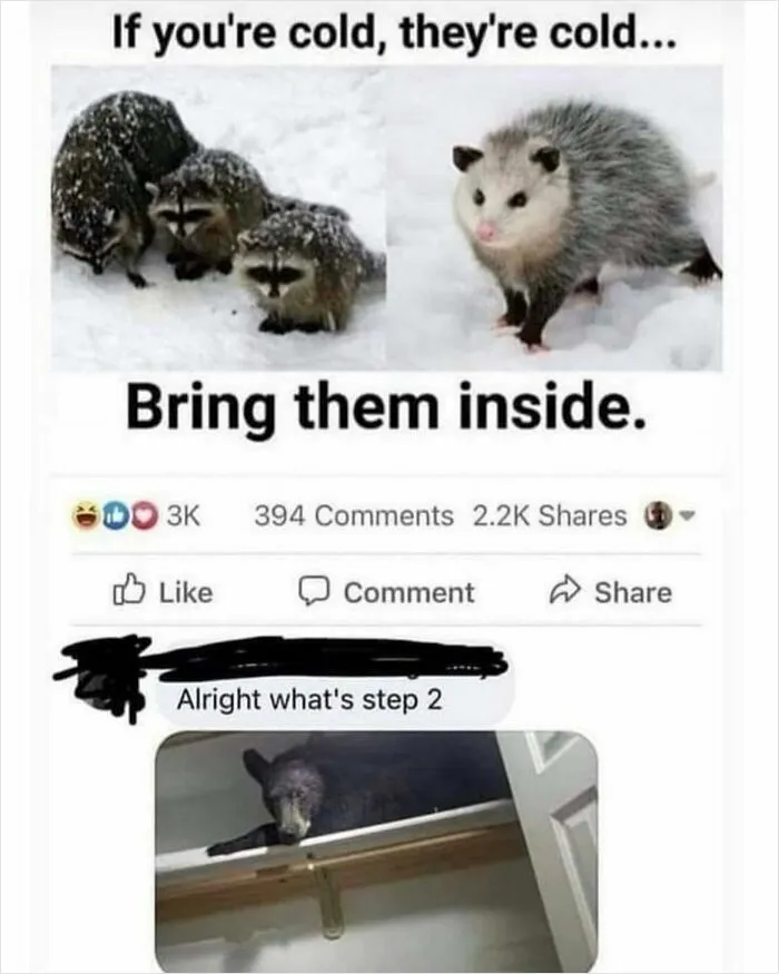 50 Memes That Are So Unhinged And Weird It's Funny