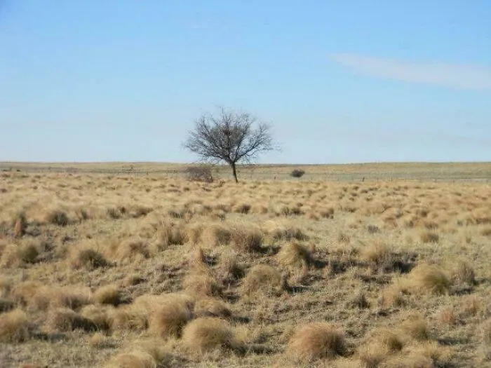 Fun Fact About Patagonia That Most People Don't Know: 90% Of It Looks Like This