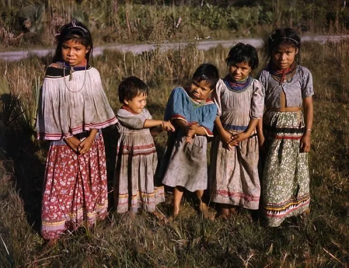 Seminole Children Watching Calf Branding At The Brighton Indian Reservation In Glades County, Florida