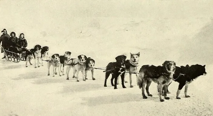 Dog Team Carrying United States Mail, Alaska
