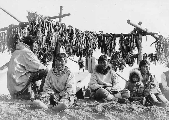 Sitting Under A Fish Drying Rack, Alaska, Between 1901 And 1911