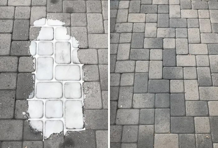 Your Driveway Doesn't Have To Look Like Your Car Had A Very Greasy, Very Public Breakdown With <a Style="Display:inline;" Href="Https://Www.amazon.com/Chomp-Remover-Concrete-Grease-Driveways/Dp/B0046o5yma?ie=utf8&th=1&linkcode=ll1&tag=bptapir-20&linkid=2629453ee212f7e264cbc4647c653adb&language=en_us&ref_=as_li_ss_tl" Target="_blank"> <span Style="Font: Inherit; Color: #d74b1f;"> Chomp! Concrete Oil Stain Remover </Span>