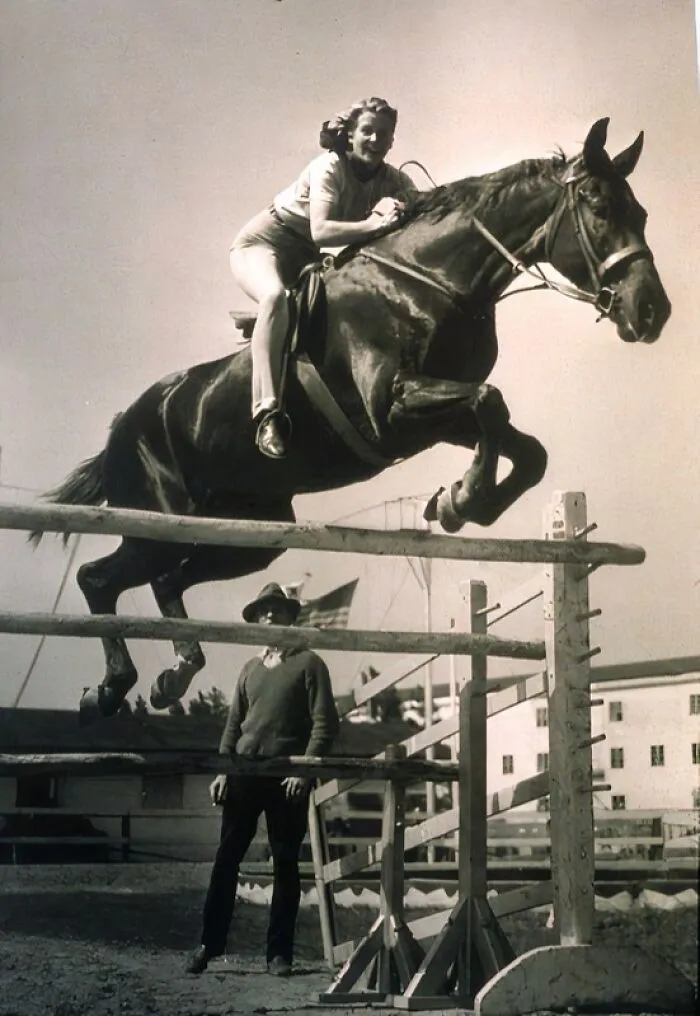 Rider Clearing A Jump At The Ringling Circus-Sarasota