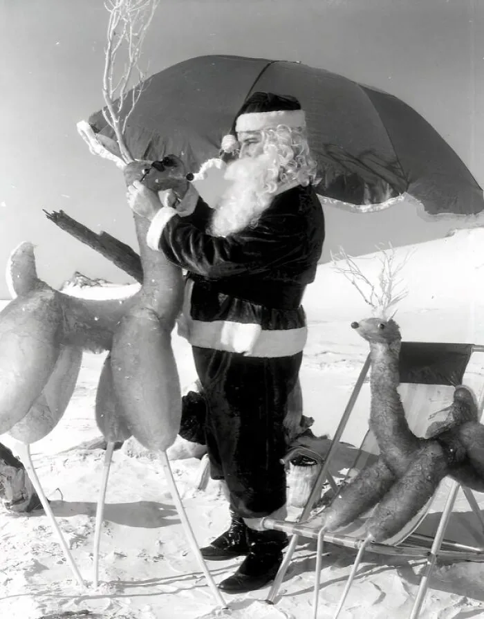 Santa Furnishing Reindeer With Sunglasses - Panama City Beach, Florida