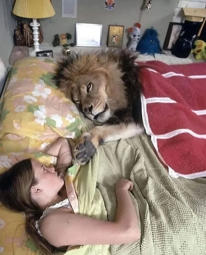 Over 100K People Follow This IG Page For Its Weird Content That Draws You In