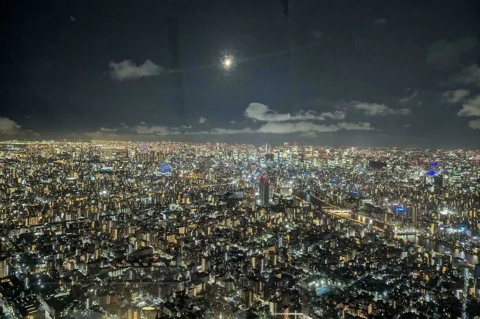 A sprawling cityscape at night, an extremely large view of urban lights stretching to the horizon under a moonlit sky.
