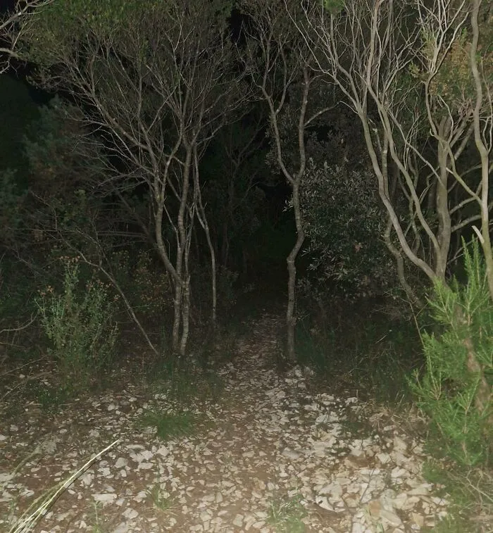 Este es el camino al retrete en la casa de vacaciones de mi familia.