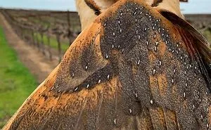 106 Incredibly Cool Photos Of Nature That People Couldn’t Stop Staring At (New Pics)