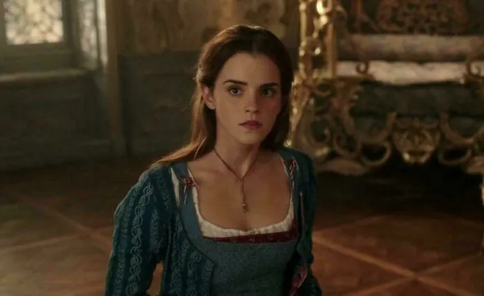 In Beauty And The Beast (2017) Belle Is Considered To Be Extremely Attractive Even Though She Isn’t. This Is A Subtle Hint To The Fact That I Am Homosexual, And Not Attracted To Women