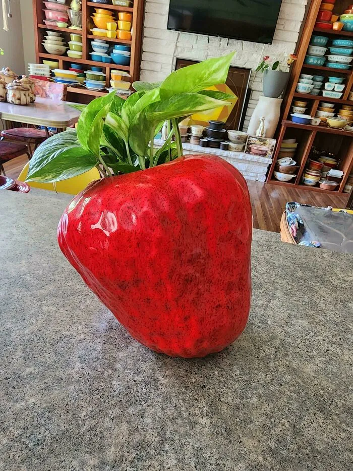 Repurposed This $2 Vintage Cookie Jar That Was Missing It's Lid 🍓