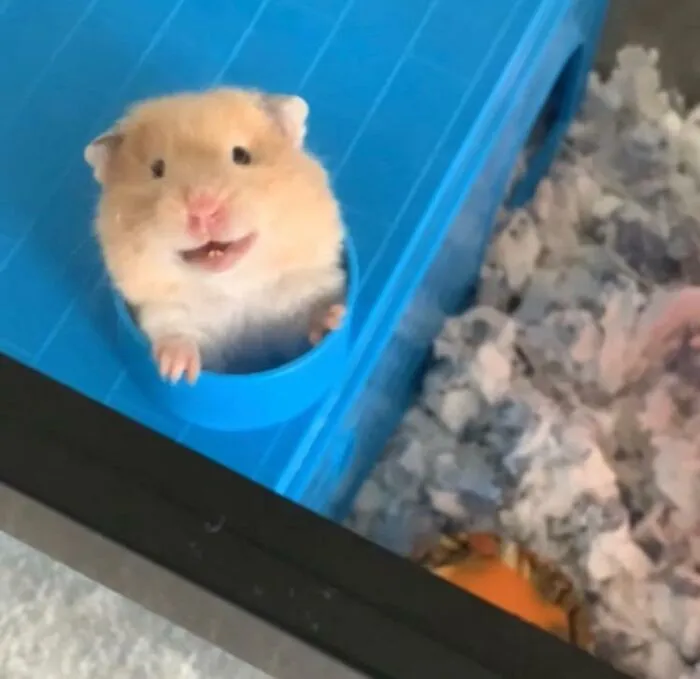 Sonríe