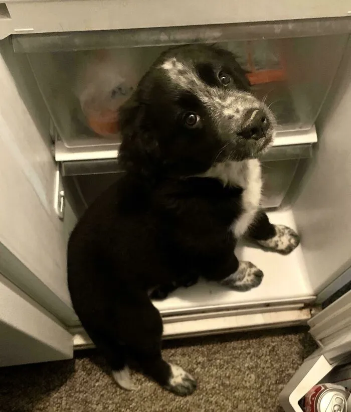 I Know It’s Hot But You Can’t Stay There