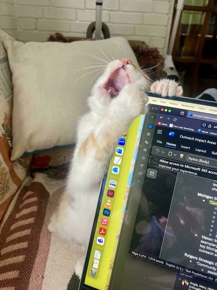 My Coworker Is Having A Bad Day