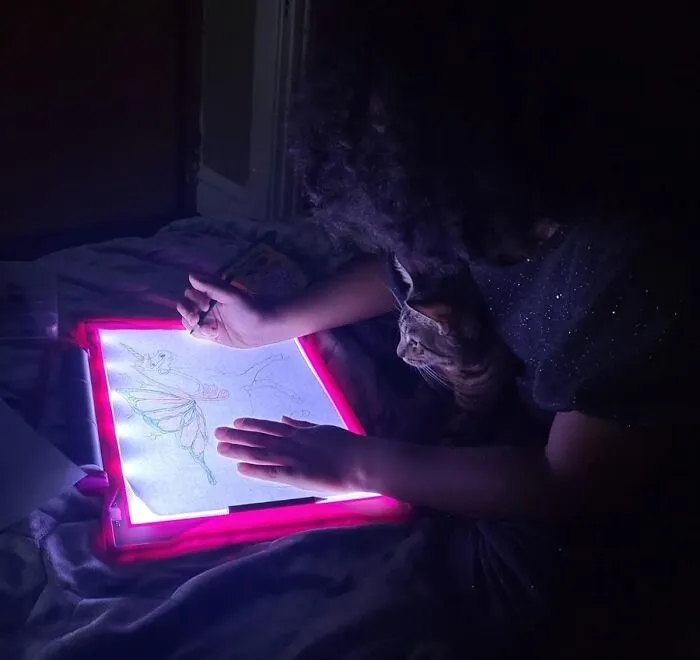 All Those Years Of Tracing Your Favorite Cartoon Characters Against A Sunny Window Have Finally LED You To The <a Style="Display:inline;" Href="Https://Www.amazon.com/Crayola-Light-Up-Tracing-Coloring-Board/Dp/B0084junvu?ie=utf8&th=1&linkcode=ll1&tag=bpaxolotl-20&linkid=ec0094e816d786c9dcbb8a009d0638be&language=en_us&ref_=as_li_ss_tl" Target="_blank">  <span Style="Font: Inherit; Color: #d74b1f;"> Light Up Tracing Pad</Span>