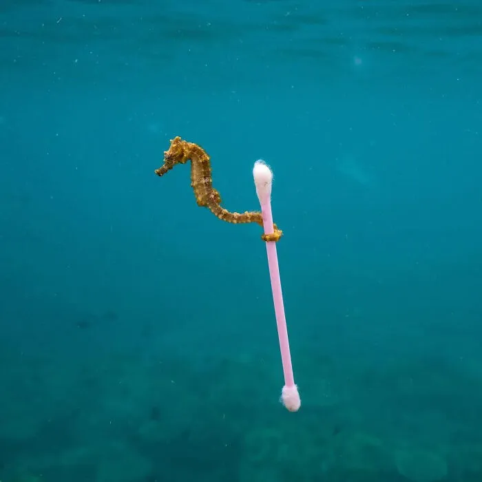 El fotógrafo de vida salvaje que tomó esta foto desearía que no existiera