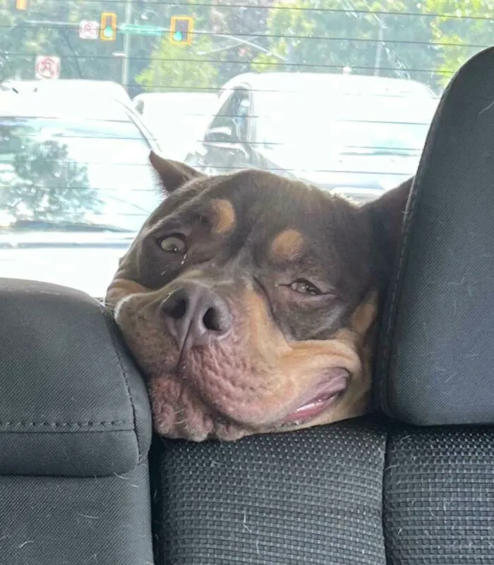Su cara tras volver del parque