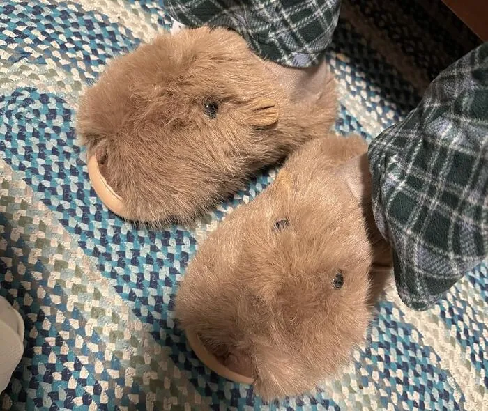 Your Feet Deserve To Experience The Pure, Unadulterated Chill Vibes Of The Internet's Favorite Rodent In The Form Of <a Style="Display:inline;" Href="Https://Www.amazon.com/Capybara-Slippers-Fluffy-Animal-Winter/Dp/B0dkdzwjgf?ie=utf8&th=1&psc=1&linkcode=ll1&tag=bpbobcat-20&linkid=6d5e9ef54a15e371c4ab57007a18848b&language=en_us&ref_=as_li_ss_tl" Target="_blank">  <span Style="Font: Inherit; Color: #d74b1f;"> Capybara Fuzzy Slippers</Span>