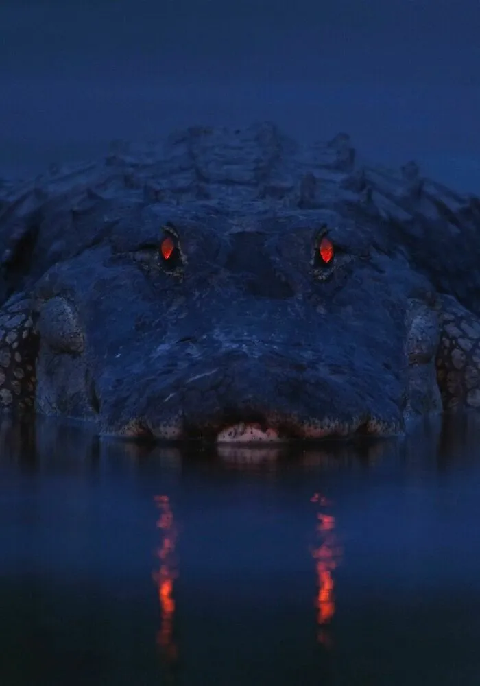 Aligator terrorífico