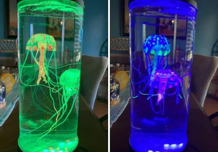 We're Hooked On This <a Style="Display:inline;" Href="Https://Www.amazon.com/Edier-Jellyfish-Lamp-Fantasy-Decorations/Dp/B0cmx17pcb?ie=utf8&th=1&linkcode=ll1&tag=bpbobcat-20&linkid=5194e5ac00f20f0991fe924522b48dc5&language=en_us&ref_=as_li_ss_tl" Target="_blank"><span Style="Font:inherit; Color: #d74b1f;"> Jellyfish Lamp</Span> - It's A Stinging Sensation Of Cuteness