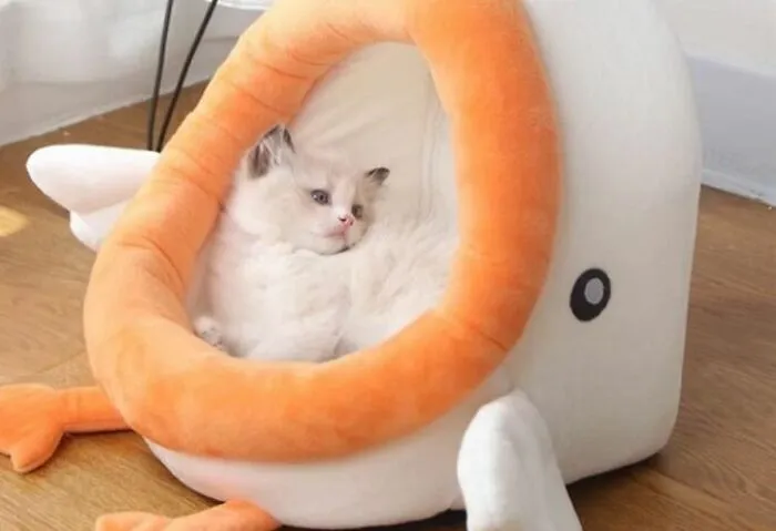 This Adorable <a Style="Display:inline;" Href="Https://Www.amazon.com/Dp/B09q8xxgmm?asc_item-ID=amzn1.ideas.2gtou1vub2j3t&th=1&linkcode=ll1&tag=bpbobcat-20&linkid=654dbd3febba5ab8495f1bfd73173210&language=en_us&ref_=as_li_ss_tl" Target="_blank"><span Style="Font:inherit; Color: #d74b1f;"> Plush Duck-Shaped Cat Bed</Span> Is The Purr-Fect Place For Your Feline Friend To Snooze