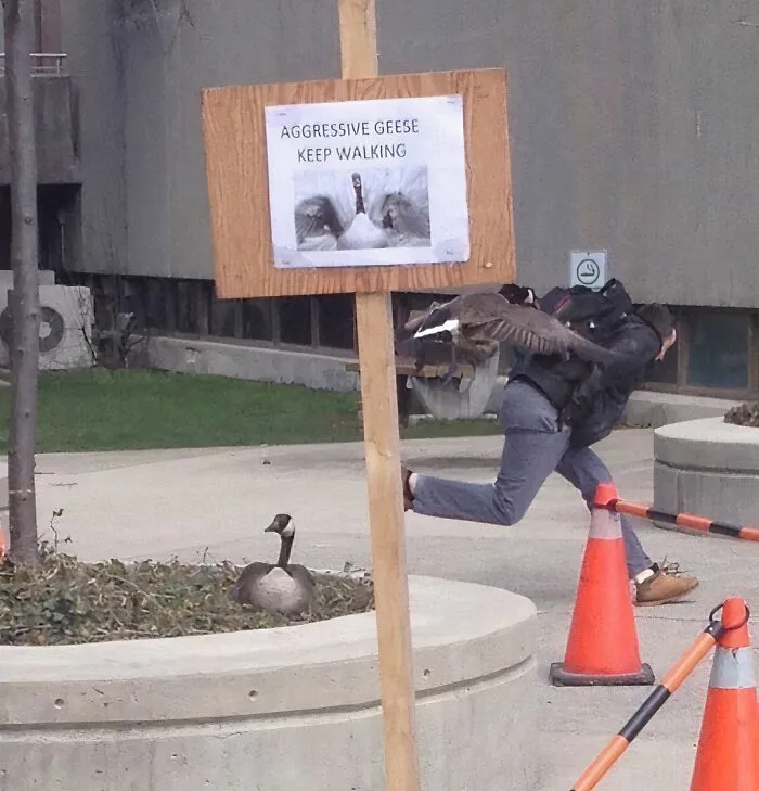50 Random Photos For Those With A Unique Sense Of Humor (New Pics)