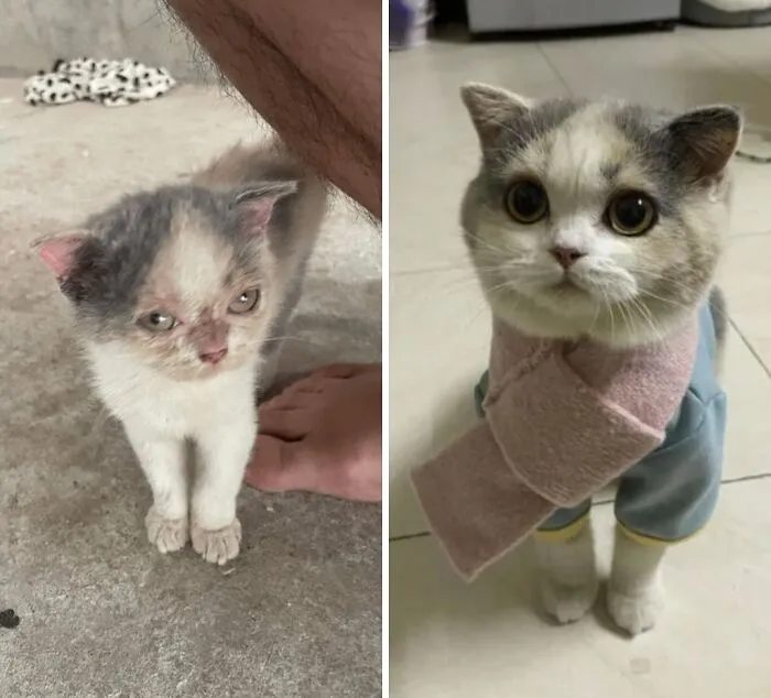 My Princess After 6 Months Of Adoption