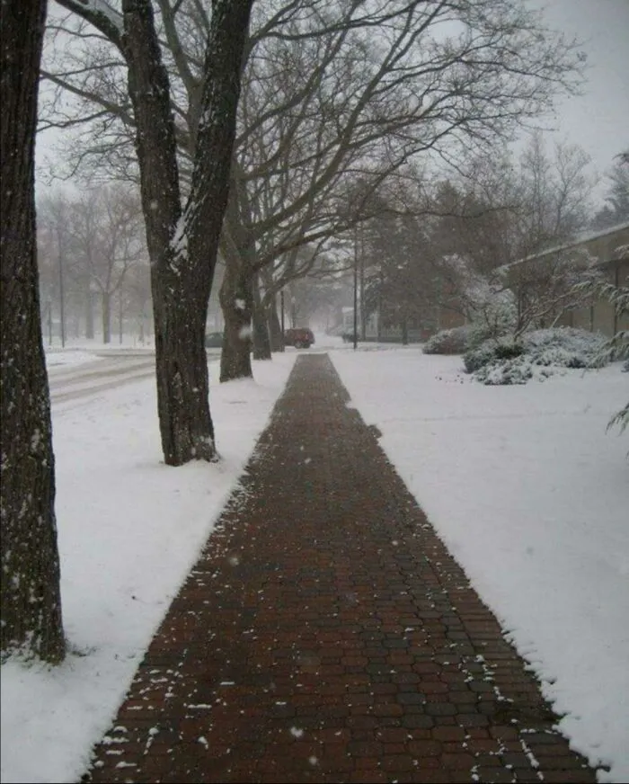 Camino despejado de nieve en invierno, mostrando detalles ingeniosos para facilitar la vida cotidiana en países con frío.