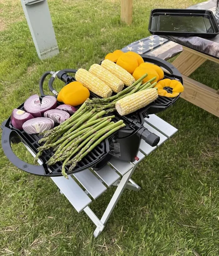 Your Primal Urge To Grill Doesn't Have To Be Confined To Your Backyard With A <a Style="Display:inline;" Href="Https://Www.amazon.com/Nomadiq-Portable-Lightweight-Tabletop-Tailgating/Dp/B08588plk8?ie=utf8&linkcode=ll1&tag=bpkiwi-20&linkid=a19c772d7a41f9acdfc51947c942df3e&language=en_us&ref_=as_li_ss_tl" Target="_blank">  <span Style="Font: Inherit; Color: #d74b1f;"> Portable Propane Gas Grill </Span>