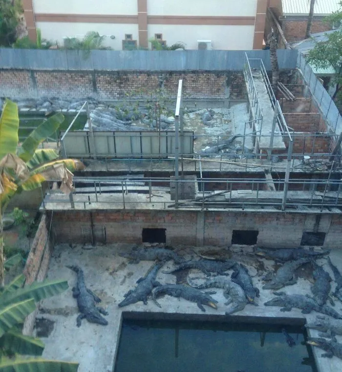 View From My Window In My Hotel Room In Cambodia