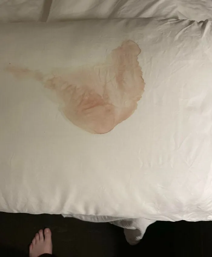 Lo encontré cuando me registré en un Holiday Inn en Florida. Supongo que me darán una habitación nueva.