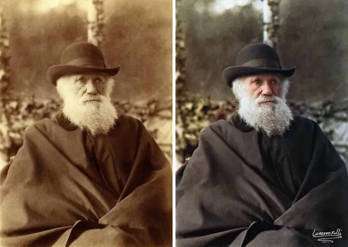 Charles Darwin Photograph By Elliott And Fry, 29 November, 1881
