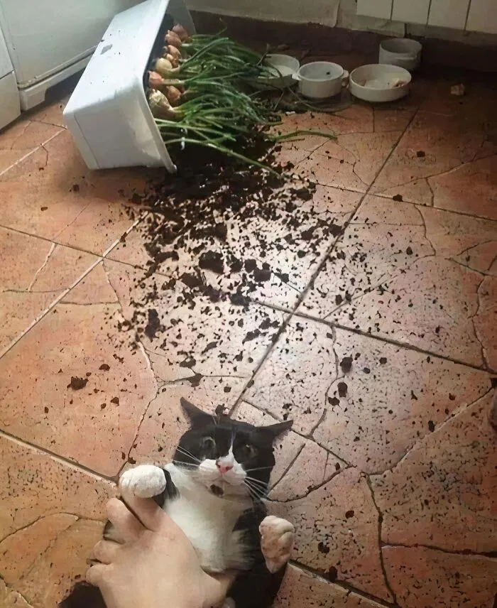 40 Mildly Disturbing Images That Must Be Cursed