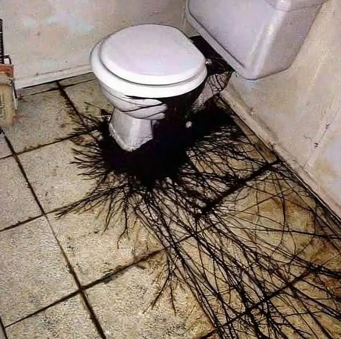 40 Mildly Disturbing Images That Must Be Cursed