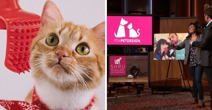 Blurring The Sacred Boundary Between Loving Your Cat And Becoming Your Cat Is The Entire Purpose Of The <a Style="Display:inline;" Href="Https://Www.amazon.com/Lickem-Tongue-Cat-Brush-Elephant/Dp/B081kfs7qw?crid=3ho4gcb5rnl78&dib=eyj2ijoimsj9._xnmvzbloizblw8i2ryqmym7qsn-Colol73s75uo986chqtxd3f2amounkvil6v3rkuibrd8uzuln1o3q0ib_ohfkuqirlsuo91khirnpf4rlitjsdehlahqdq7rg-Yixrxzfdaaqxvweqm__dxxpghzilh8pengajs238qxz9p8oo0wso32o6qyvizxoqcar1wl7qtb1j1c1z57ahbds2kt2drnglkuarjwyr_9yrx9c9kua3ypv5bpthu0pgaytxqi6saey_aijas3iy7il9zwxx44utzbewcegiphgo8.iua3xzswx3zebhk-Uywdtyeyzeeprethboachfmjtku&dib_tag=se&keywords=licki%2bbrush&qid=1753943330&sprefix=licki%2bbrush%2caps%2c200&sr=8-1&th=1&linkcode=ll1&tag=bpbat-20&linkid=ba416873a4b42587659bd5ce42316a50&language=en_us&ref_=as_li_ss_tl" Target="_blank">  <span Style="Font: Inherit; Color: #d74b1f;"> Licki Brush</Span>