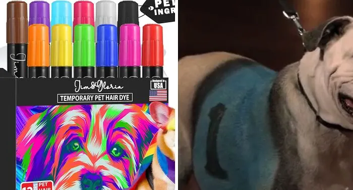 Letting You Turn Your Furry Best Friend Into A Temporary, And Likely Unenthusiastic, Art Project Was The Main Selling Point Of <span Style="Font: Inherit; Color: #d74b1f;"> Pet Paint</Span>. For Everyone's Safety, Let's Stick To Regular <a Style="Display:inline;" Href="Https://Www.amazon.com/Jim-Gloria-Temporary-Accessories-Identification/Dp/B09mbcrp99?ie=utf8&linkcode=ll1&tag=bpbat-20&linkid=35411b1930780add21ebbc780405a167&language=en_us&ref_=as_li_ss_tl" Target="_blank">  <span Style="Font:inherit;color:#d74b1f;"> Paint Brushes</Span> Instead?