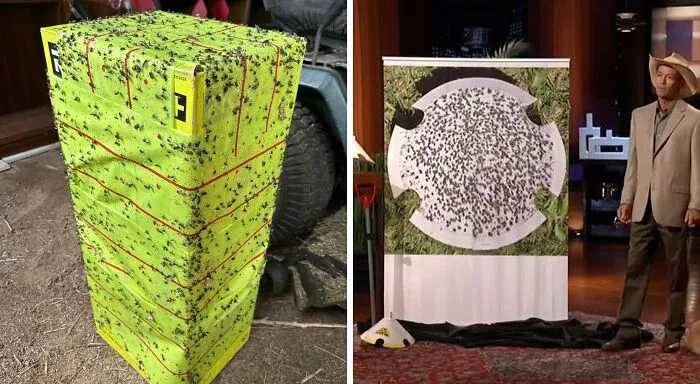 Establishing A Designated Containment Unit For Uninvited Six-Legged Party Guests Was The Grand Vision For The <span Style="Font: Inherit; Color: #d74b1f;"> No Fly Cone</Span>. You'd Be Better Off Wrapping A <a Style="Display:inline;" Href="Https://Www.amazon.com/Outdoor-Glue-Fly-Trap-Roll/Dp/B07xkdm8lg?dib=eyj2ijoimsj9.ec2zpgomd5ah4jh-C2ls6woigwucmrj8lngsfhvrpntx7ztgzc6xxf38aktyislwotjlvu90bduw7bwacrigbue-Hpkatilya8pg_6dovef_4dukoeqlm80jprhmkyhaxsvhemj2do7m_w_mnaxmvesqbao-7o8pn_b4_echiwm8xxxkqocpi1d0e0jthvcplllickkuihan6ipodrvqaxstpfymxshtoqci9ablqn6hvamxuknw8zychi8wpakbjmuru094x1zrwlaeidccuml0c8um2qeqd_flpd-Cthw.gmqccvcfkx8klzdozg4x5o2omrzhl3ulnlpwt7fxvli&dib_tag=se&keywords=no%2bfly%2bcone&qid=1753945038&sr=8-2&th=1&linkcode=ll1&tag=bpbat-20&linkid=4ec4dd8bbfd0f65040dc55e2652e121a&language=en_us&ref_=as_li_ss_tl" Target="_blank">  <span Style="Font:inherit;color:#d74b1f;"> Giant Flytrap</Span> Around Yourself When Walking Your Pooch