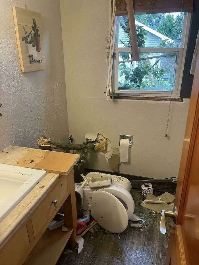 Welp. Went To Use The Bathroom During A Thunderstorm, Heard A Loud Crash En Route, And Opened The Door To This