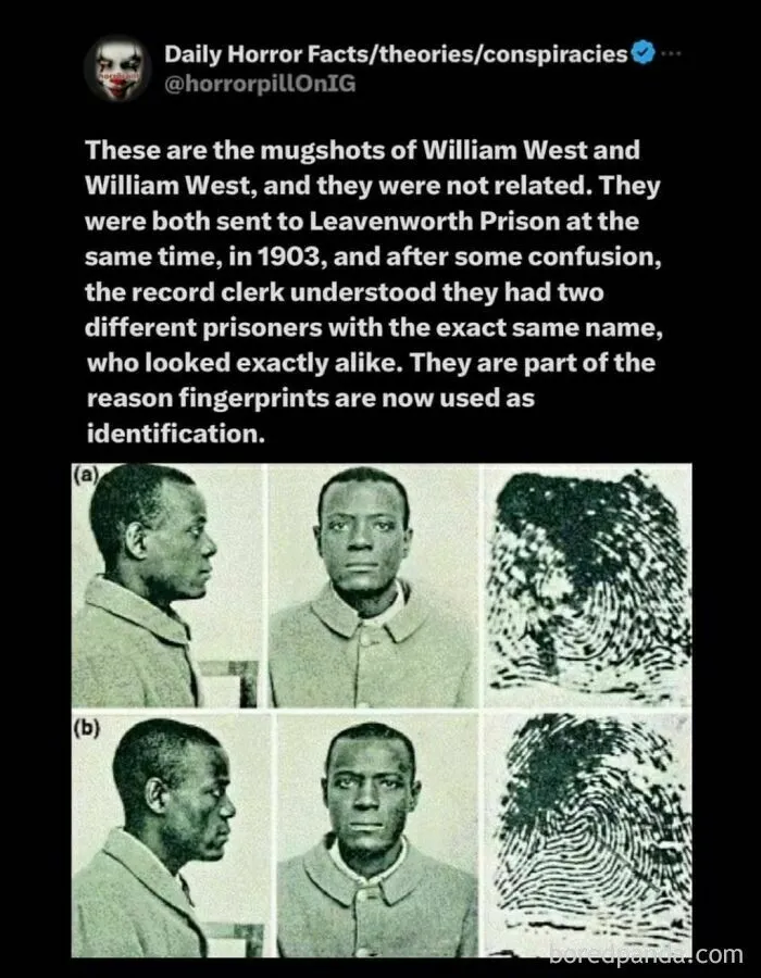 50 Terrifying Stories, Facts And Images You Don’t Want To Be Scrolling Through Before Sleep