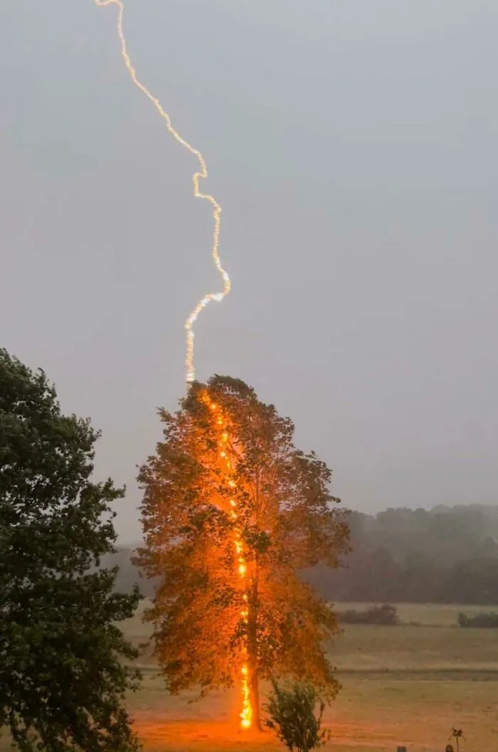 Lightning Striking A Tree In Hardy County, West Virginia On 6/22/22